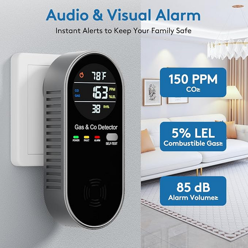 Gasfence Carbon Monoxide & Gas Detector